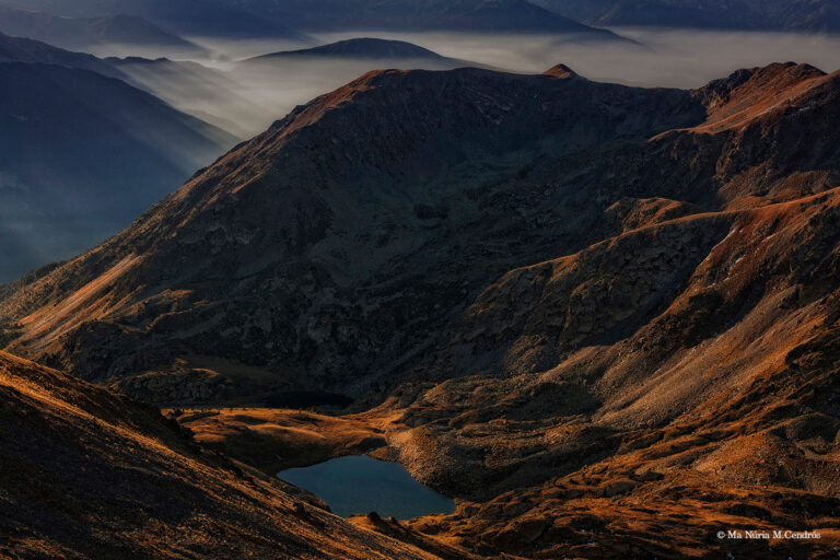 Núria M Cendrós - 06 Angonella